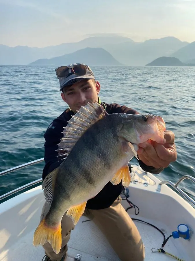In Riva Al Lago Di Iseo Dependance Primo Piano Marone 0*,