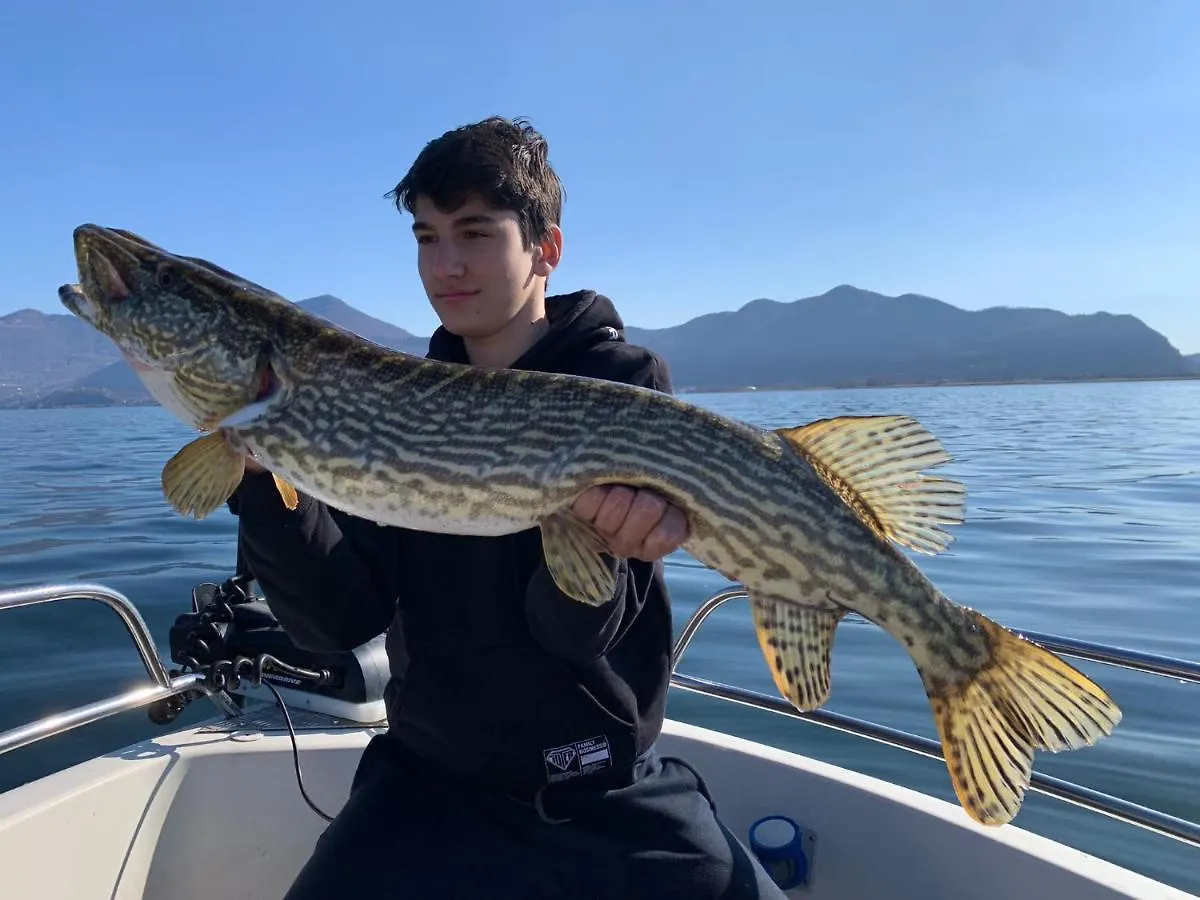 In Riva Al Lago Di Iseo Dependance Primo Piano Apartmán Marone