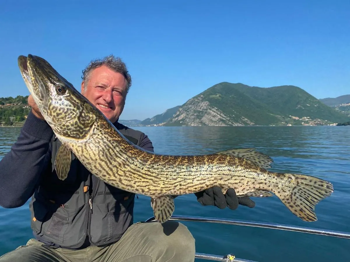 In Riva Al Lago Di Iseo Dependance Primo Piano Italy