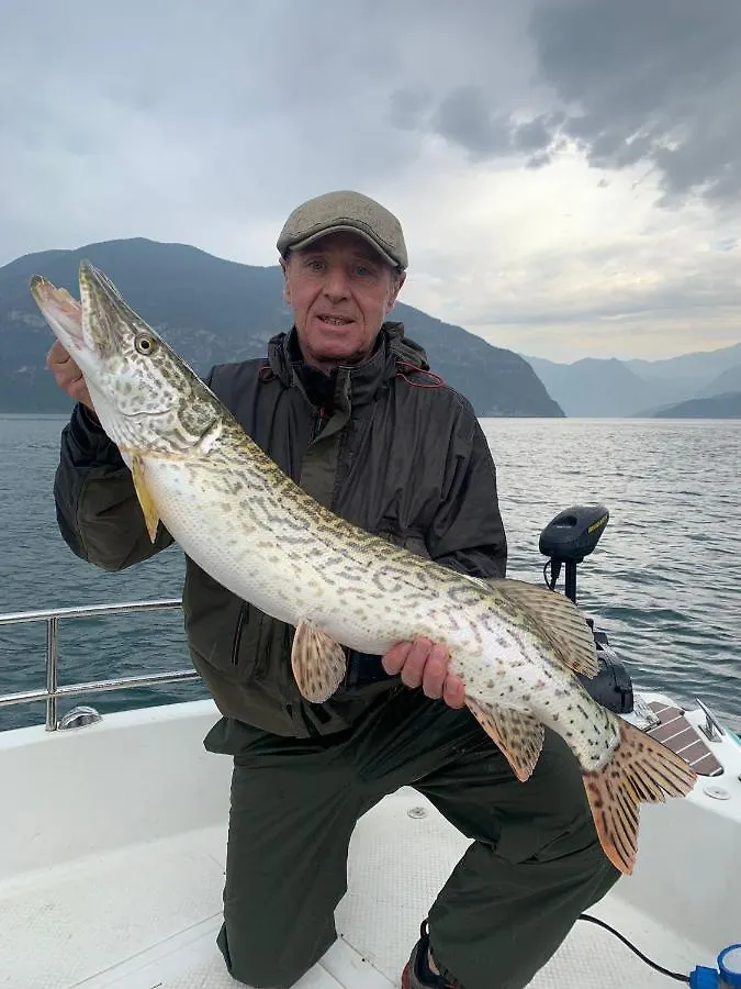 In Riva Al Lago Di Iseo Dependance Primo Piano