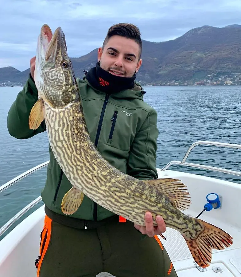 In Riva Al Lago Di Iseo Dependance Primo Piano Apartment Marone